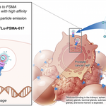 Prostate Cancer Part 11 – Landmark Clinical Trials In Prostate Cancer Management 
